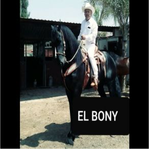 Download track No Puedo Evitarlo El Bony