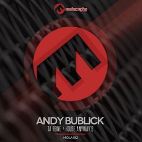 Download track Make Em Shake It Andy Bublick