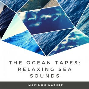 Download track Sounds Of The Sea Maximum Nature