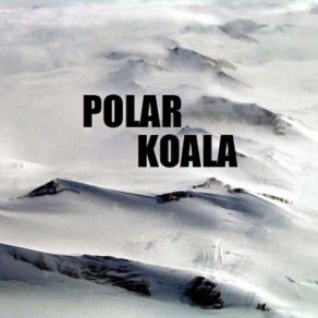 Download track Not As It Should Be Polar Koala