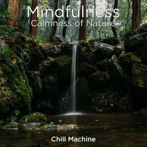 Download track Countryside Meditation Birds And Calm Wind Chill Machine