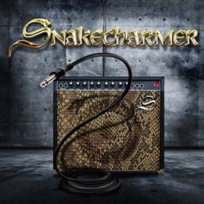 Download track Nothing To Lose Snake Charmer