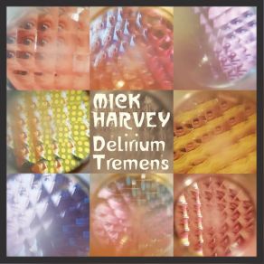 Download track A Day Like Any Other Mick Harvey