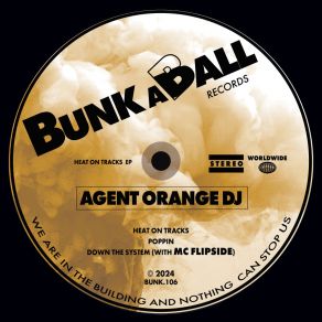 Download track Down The System Agent Orange DJMC Flipside