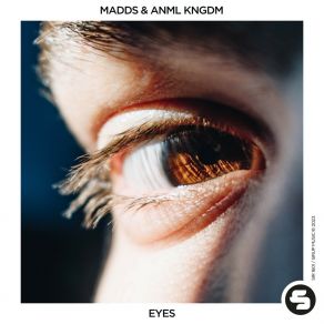 Download track Eyes (Extended Mix) Anml Kngdm