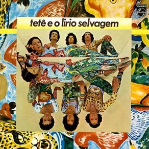 Download track Vôos Claros Tetê Espíndola