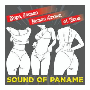 Download track Entre Check In Et Police Control Papa Maman James BrownPolice Control