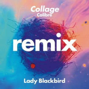 Download track Collage (Calibre Dub) Lady Blackbird