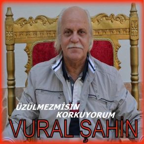 Download track Resminle Ağladım Vural Şahin