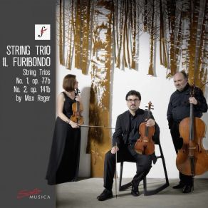 Download track String Trio No. 2 In D Minor, Op. 141b: II. Andante Molto Sostenuto Con Variazioni' Il Furibondo