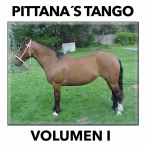 Download track El Oligarca Bondadoso Pittana's Tango