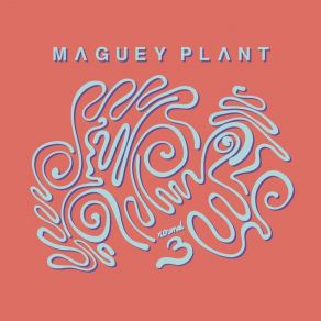 Download track Flower Café Maguey Plant