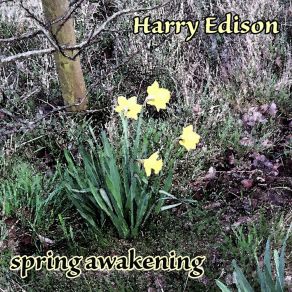 Download track Prisoner Of Love Harry Edison