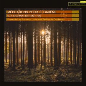 Download track Méditations Pour Le Carême, H. 380 À 389: VIII. Stabat Mater Dolorosa Ensemble Les SurprisesLouis-Noël Bestion De Camboulas