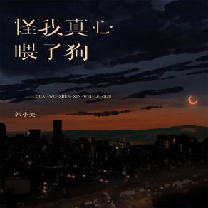 Download track 怪我真心喂了狗 郭小美