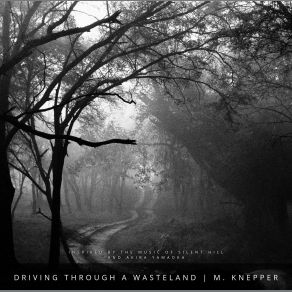 Download track The Decayed Places M. Knepper