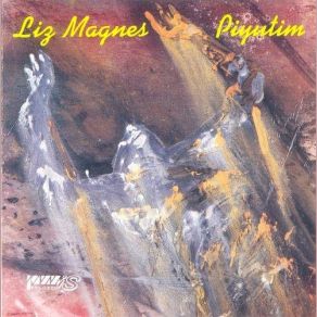 Download track Wonderous Site Liz Magnes