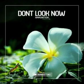 Download track Ammunition (Boris Roodbwoy & Andrew Rai Remix Edit) Dont Look NowBoris Roodbwoy