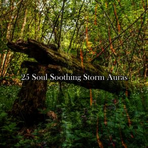 Download track Storms Ritual Rain Sounds Factory STHLM