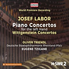 Download track Piano Concerto For The Left Hand No. 1: IV. Var. 4 - Intermezzo - Var. 5 Deutsche Staatsphilharmonie Rheinland-Pfalz, Oliver Triendl, Eugene Tzigane