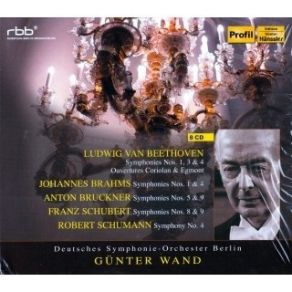 Download track 1.01. Allegro Moderato Deutsches Symphonie - Orchester Berlin