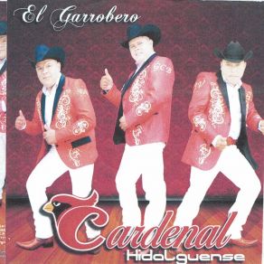 Download track El Campechano Trio Cardenal Hidalguense