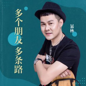 Download track 多个朋友多条路 (伴奏) Lin Bao