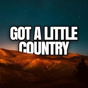 Download track Got A Little Country Blake Shelton