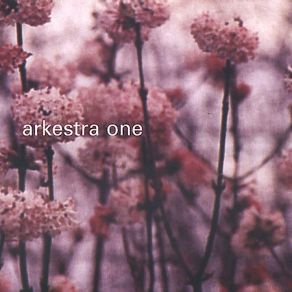 Download track Skydiving Nina Miranda, Arkestra One