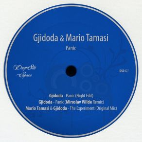 Download track Panic (Miroslav Wilde Remix) Gjidoda