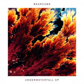 Download track False Mirrors Bearcubs