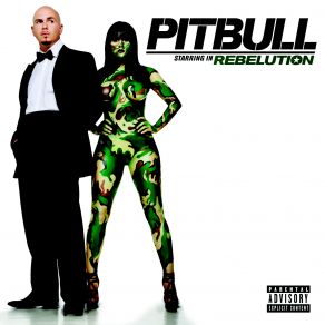 Download track Give Them What They Ask For Pitbull