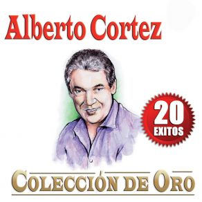 Download track Callejero