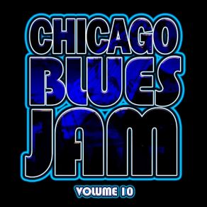 Download track Every Day I Have The Blues Chicago Blues Jam