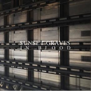 Download track The Black Night Satellite Sunset Graves