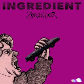 Download track Covered In Vinyl Zorznijor