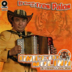 Download track Asi Soy Yo Aniceto Molina El Tigre Sabanero