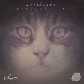 Download track Singularity (Original Mix) Audiojack