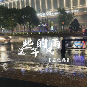 Download track 这些年的风雨 苏北鑫