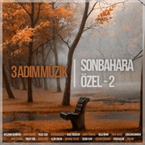 Download track Aşk Sensin Uykusuzlar