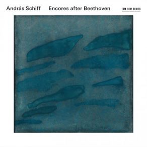 Download track Allegretto In C Minor, D. 915 András Schiff