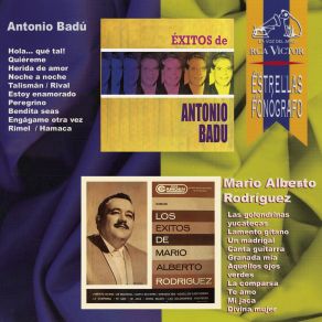 Download track Te Amo (I Love You) Mario Alberto RodriguezEdvard Grieg, La Orquesta De Mario Ruiz Armengol, Orquesta De Mario Ruíz Armengol