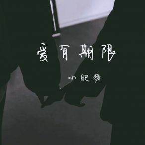 Download track 有雾有灯也有归人 小肥猪