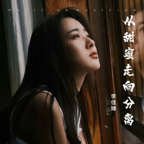 Download track 从甜蜜走向分离 (DJ版伴奏) 李佳臻