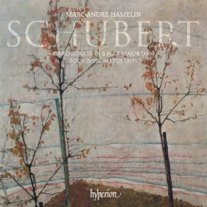 Download track Piano Sonata D 960 In B-Flat Major꞉ Molto Moderato Franz Schubert, Marc - Andre Hamelin