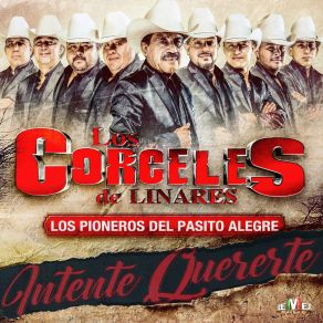 Download track Intente Quererte Los Corceles De Linares