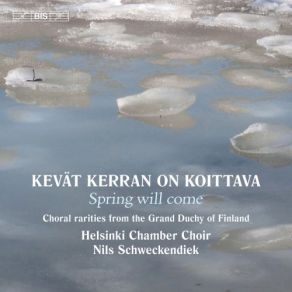 Download track Punkaharjun Laulutyttö Helsinki Chamber Choir, Nils Schweckendiek