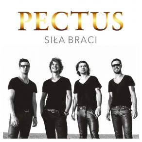 Download track Bezsenność Pectus