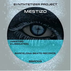 Download track Mestizo (Original Mix) Synthtetizer Project