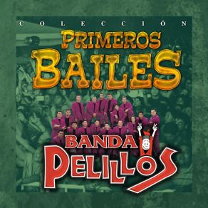 Download track Las Mujeres Quieren Bailar Banda Pelillos